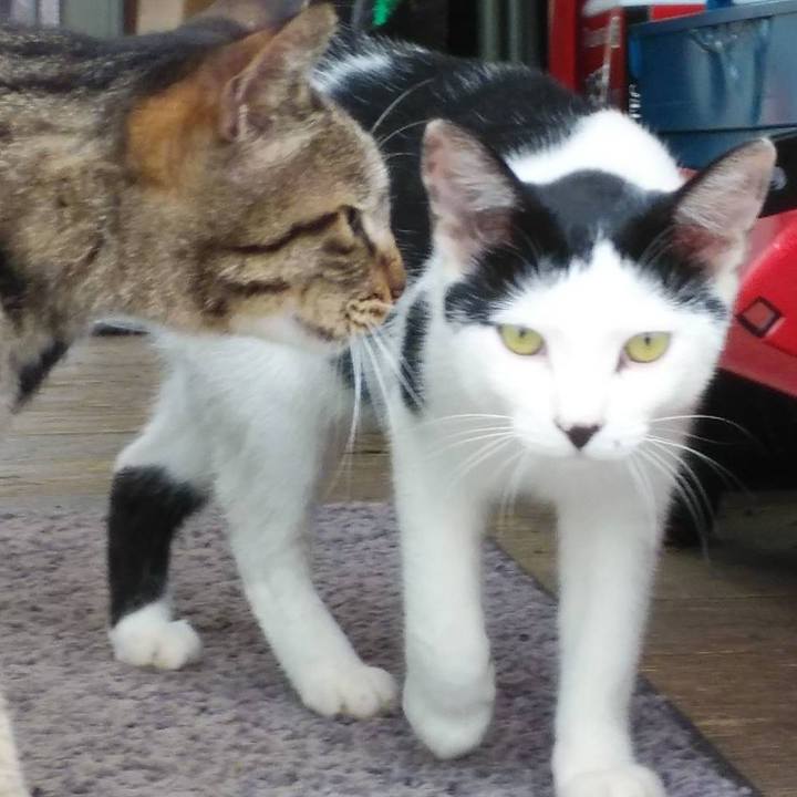 Ecd27d43 f538 4adf aa49 75b944af4bb8 1595291218726