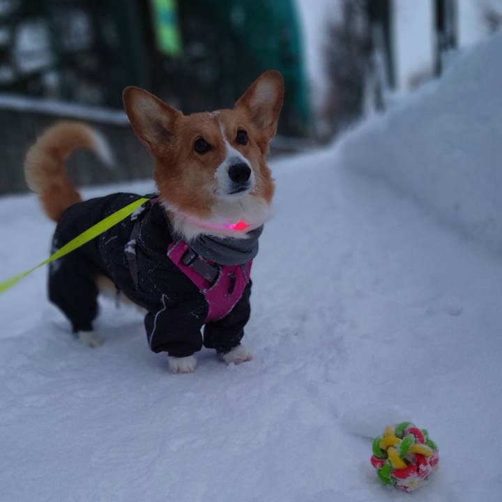 Ecd28d1c 1643 4df4 911f 257d7abb7490 1768434798386