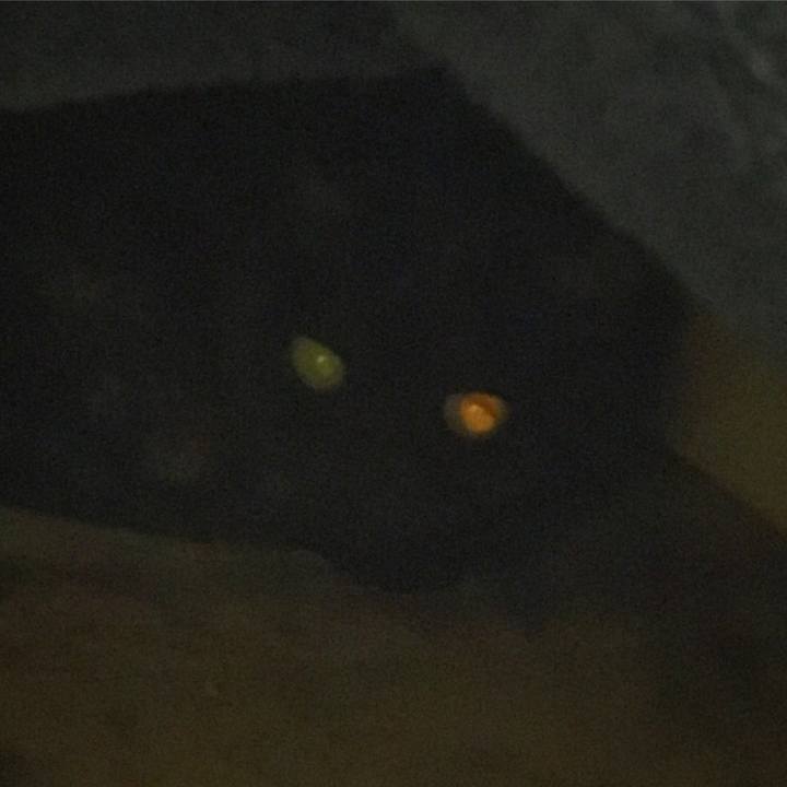 Ecd2ac7a bbdd 4bf4 b19e 5740d16db628 1579193243806