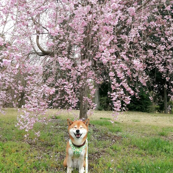 Ecd2df53 aa5b 4587 84b3 c9cabdd18b92 1679887999651