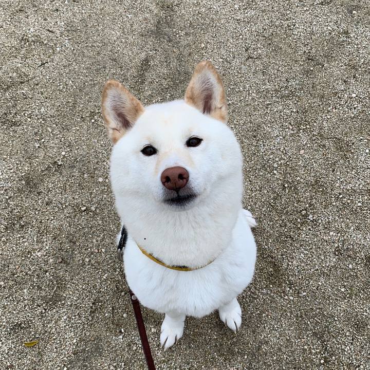 Ecd2f9ff 0a59 4bc1 b88b a02635eaf5ae 1553298436166