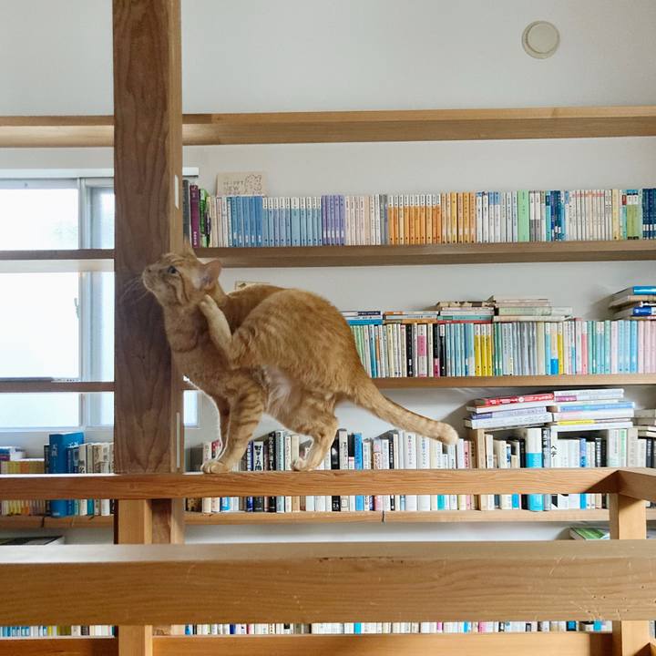 Ecd35d48 def8 40a3 81af 795d55345f7d 1608349741022