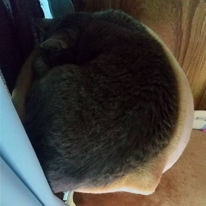 Ecd370f9 dcac 4996 9b41 90ecd2b1d9dc 1665906099399