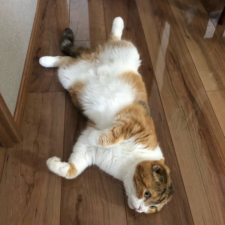 Ecd37958 3a09 4604 a7d3 47782550a8e2 1591403282734