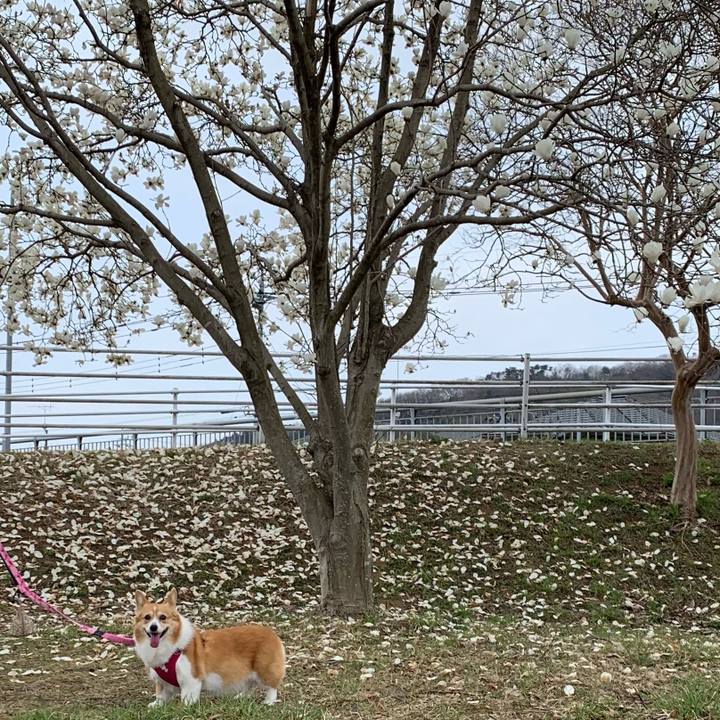 Ecd37ece 2602 4c42 9250 604ca82dcb00 1679020737177