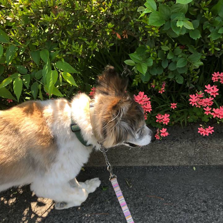 Ecd3bae1 6b21 49e8 b38f ec3af3ed68fc 1525485153183