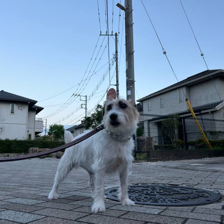 Ecd3ef34 f0ad 48ce b326 98cecb0e71f0 1727184965401