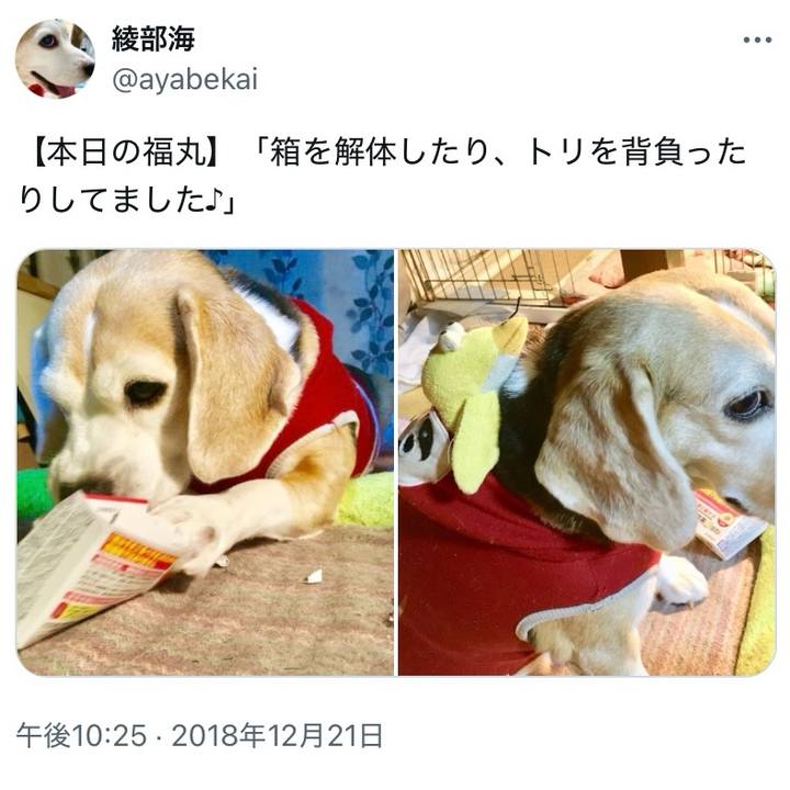 Ecd40b9f 67ab 4f5e afca 73f009083051 1734739652116