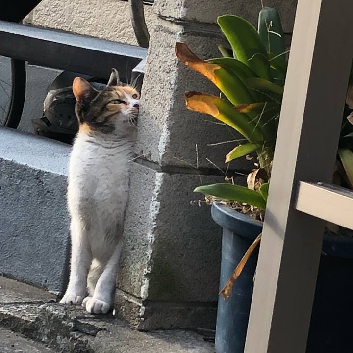 Ecd47970 7cde 4aec b65f e3d877026cae 1516973442220