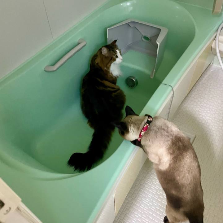 Ecd4876a b9c1 4bef 8693 0892977af1bd 1768248550426