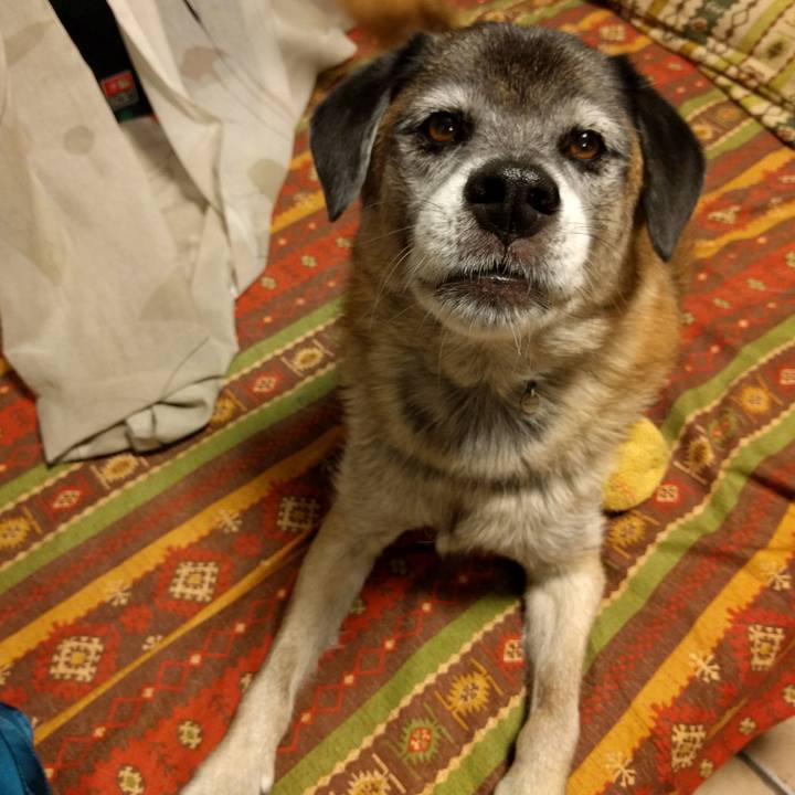 Ecd487ae 5cdd 4317 9fa8 6851d41bbb72 1737887964921