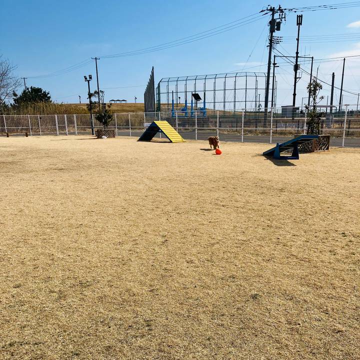 Ecd490ac e281 4977 983e ae95908b926c 1741737618463