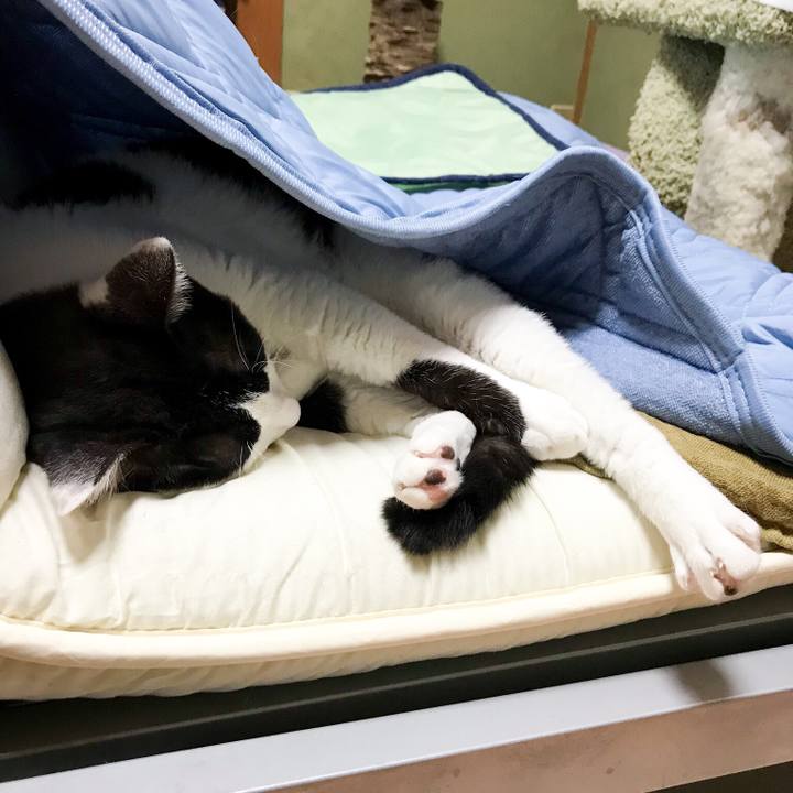 Ecd4d264 6099 4efe ba53 d1ca5c2c35d8 1529248023928