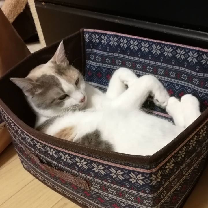 Ecd4eb45 10c8 453e 93d7 87950a30f463 1557197378867