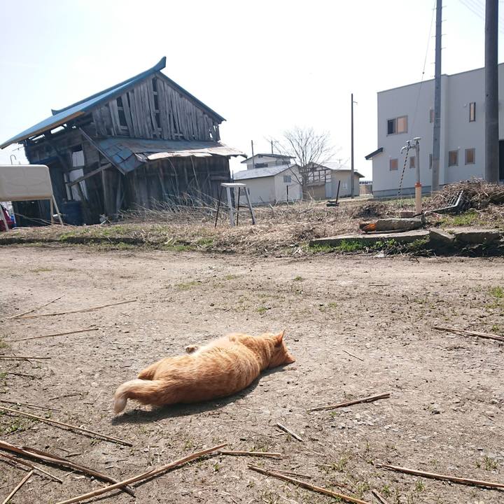 Ecd4eb6d 6492 4115 8c03 1f03ef47e89b 1649641072336