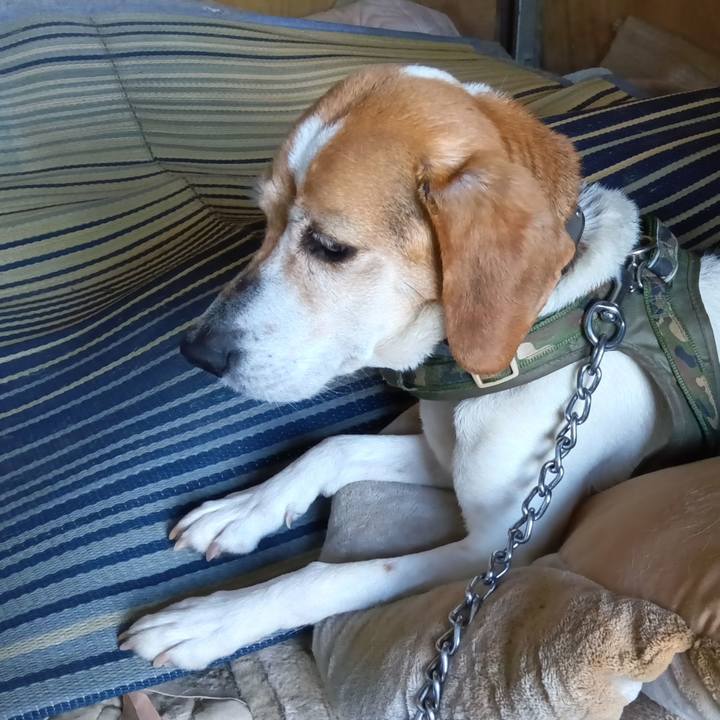 Ecd51c62 b0c3 4344 b06c d0c783036849 1716372781622