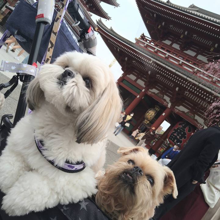 Ecd52414 c695 4ad1 8448 151c1f7d1ce3 1648378712709