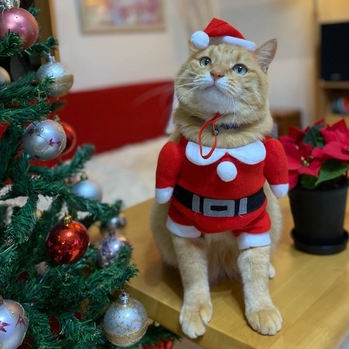 Ecd52869 0169 409b afa8 743c34913980 1639833579010