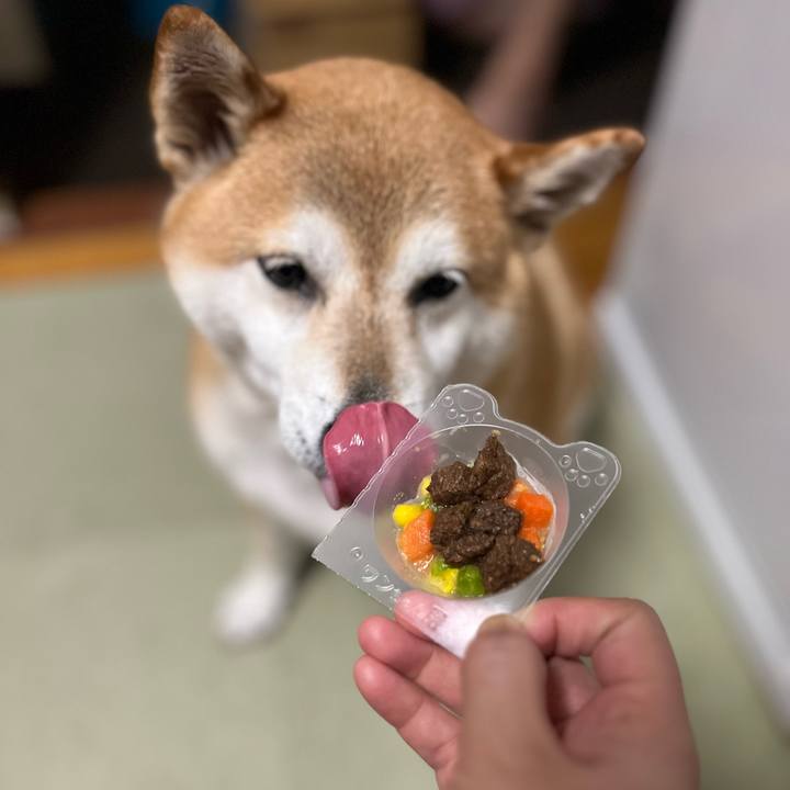 Ecd5337b 9781 46c8 90be 3685a7e4ad48 1689937291546