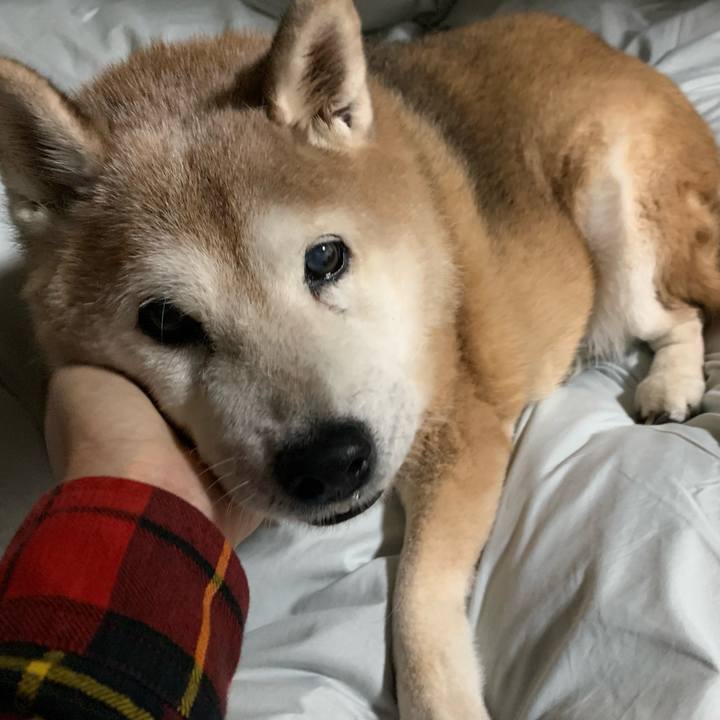 Ecd5479d f0b5 4fee 961d 97fec494a7c0 1639658121483