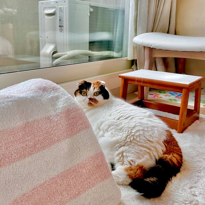 Ecd54b1d f79b 4005 b6eb 498ba3844f99 1699570802339