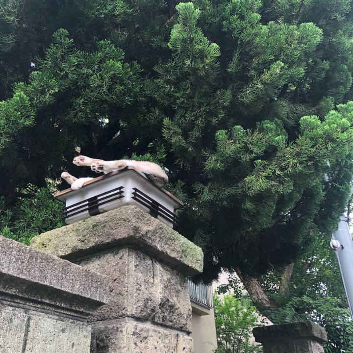 Ecd577d7 1dfa 47d8 83eb decf2bc978ae 1594648078255