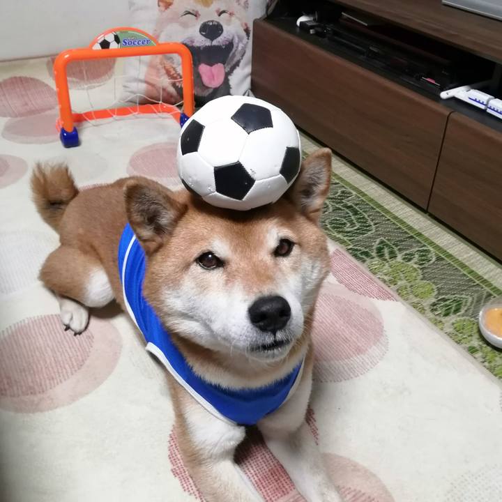 Ecd58793 94b6 4df2 b3be f1a7fd12440b 1643715756845