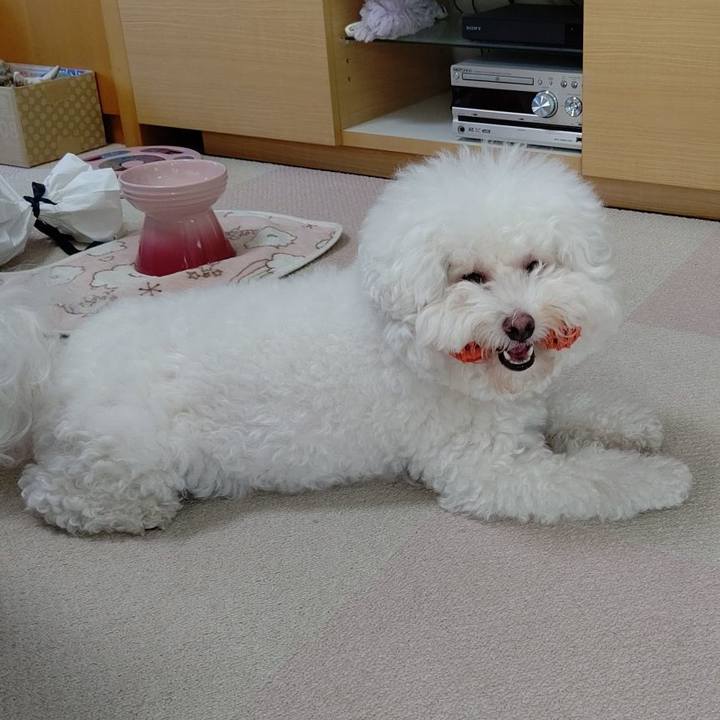 Ecd59f25 2b6a 4e08 ad31 ad36eca8def7 1664596859239