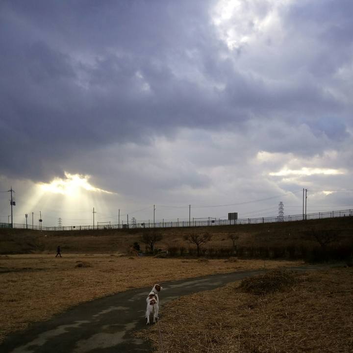 Ecd5a331 c2a2 46b0 b502 58bdd22fe6f8 1515228154049