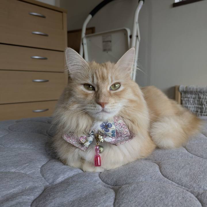 Ecd5b3b2 fc70 4fac 9937 83daa8382a32 1758590239243