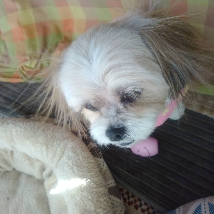 Ecd5c774 6f7c 42b5 880f 5876f0c8fb36 1709593819587