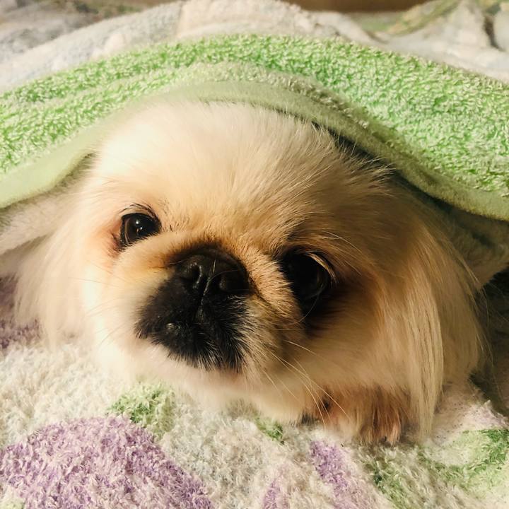 Ecd63e3e b92f 4740 8797 ea8f28952a6f 1622113151345