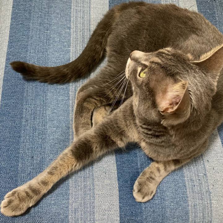 Ecd64645 e5ed 4bb9 b3d4 26951a650554 1656832171660