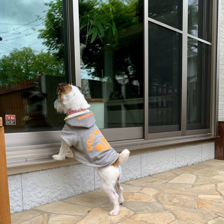 Ecd6615f 2b6f 4b71 98e4 cff2e0544fb5 1684055353520