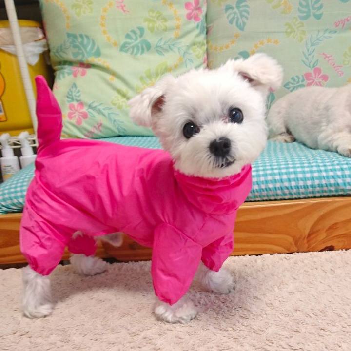 Ecd69bc6 53a9 48b1 8de7 6458cfbd853d 1521517439578