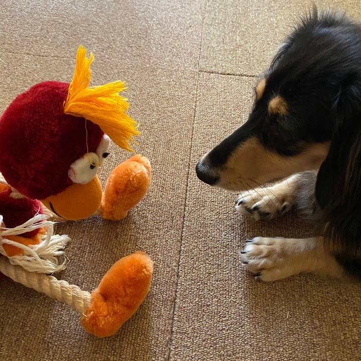 Ecd71016 0251 4bb6 83f5 1e0145ffc3c2 1694241083782