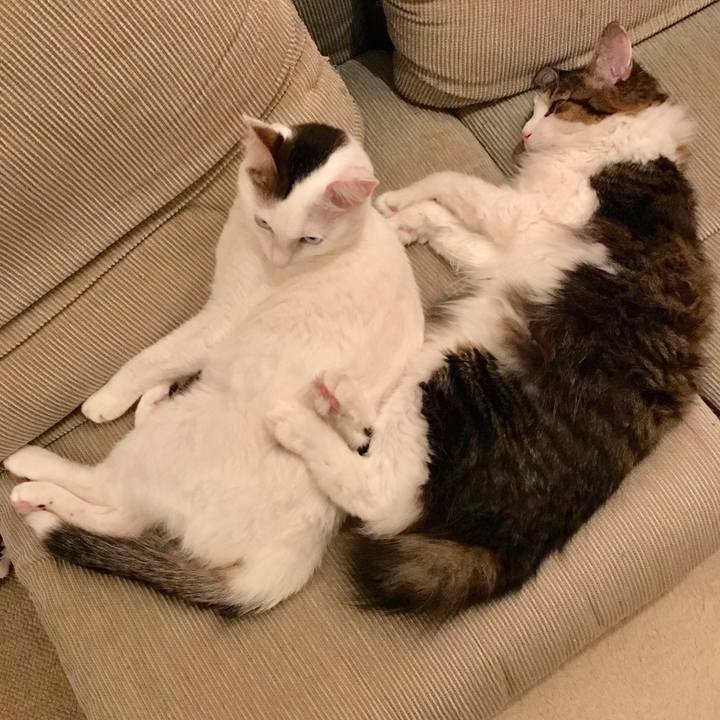 Ecd75ebc 927e 4df8 a02a 6d34e2253a5e 1510887956232