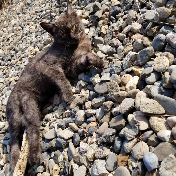 Ecd7637c 8aef 4ce9 9e4b e580c649b735 1587192073208