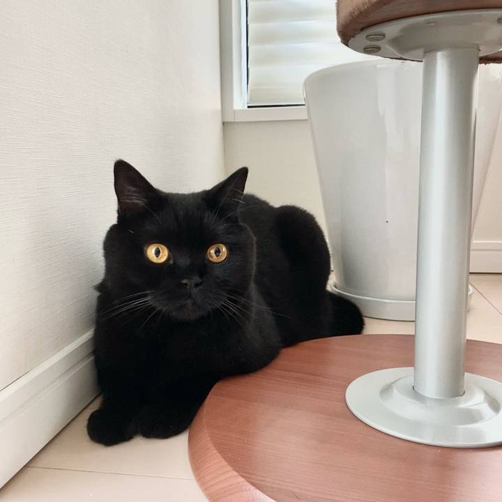 Ecd7765c 3434 4a10 8656 f4fba3d31bfd 1629324209354