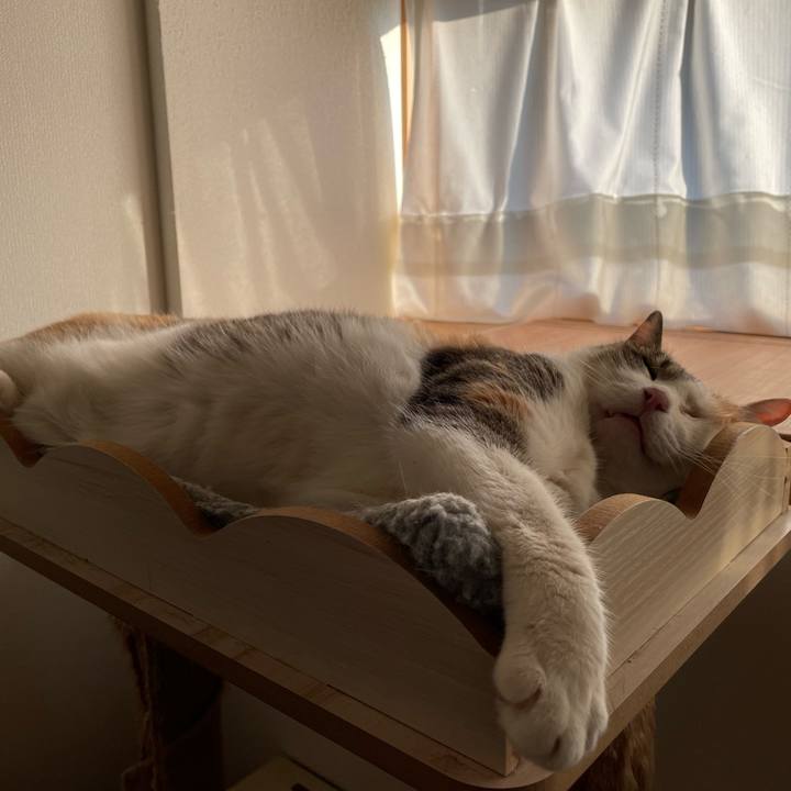 Ecd777b5 19f1 48b5 bc9c 32aefeed2d50 1720081580248