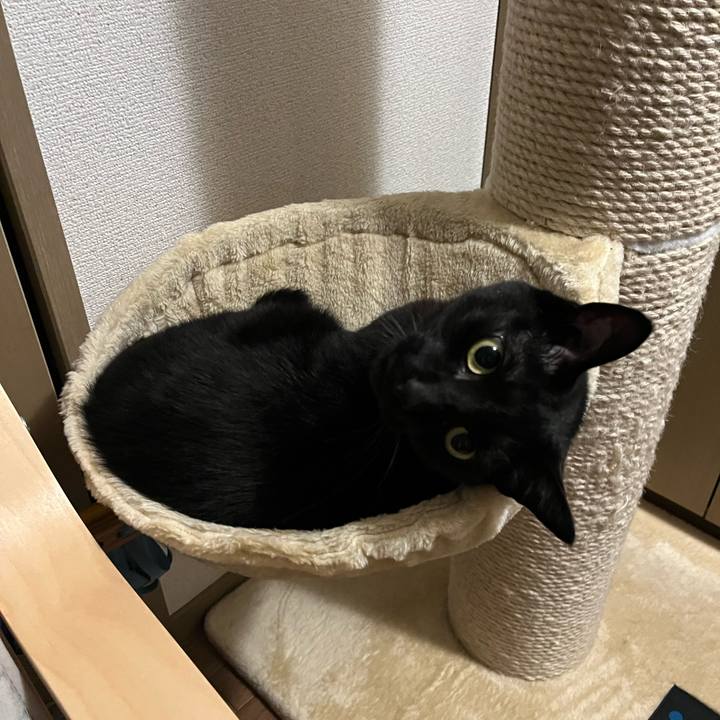 Ecd77c2b 7f50 4c67 9bf9 a48c0c47a91f 1713535381968