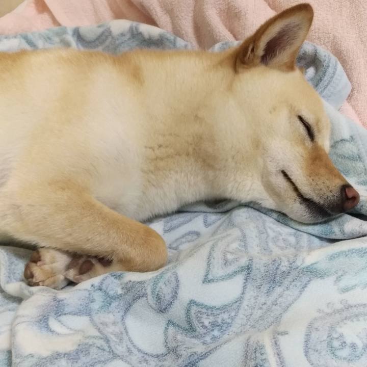 Ecd77d1e 214f 49a8 be04 145b99c8d028 1529928564613