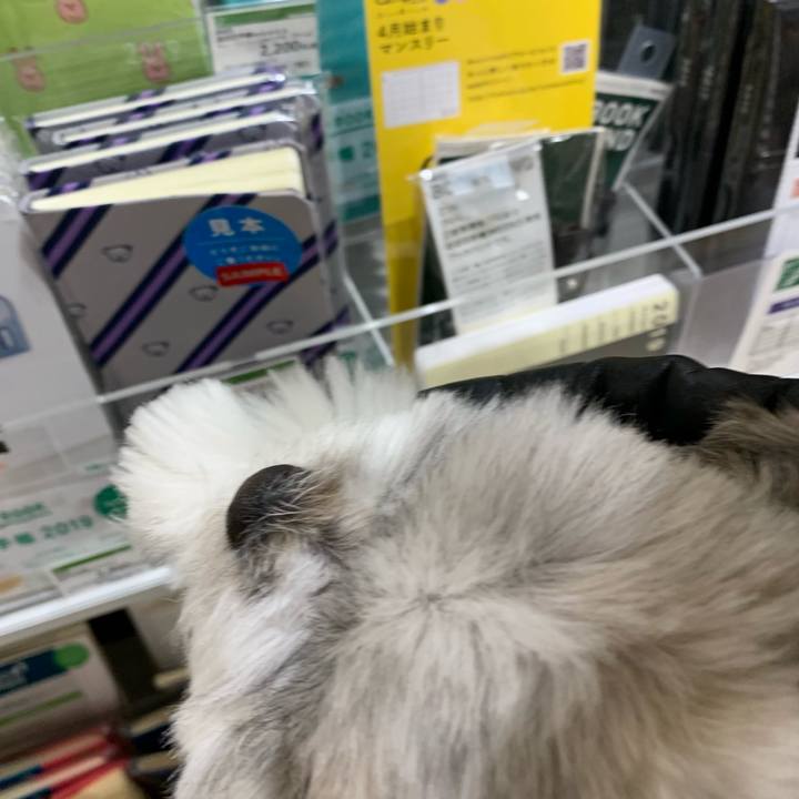 Ecd786e5 1b94 4457 8389 2f016c27b26b 1553851028322