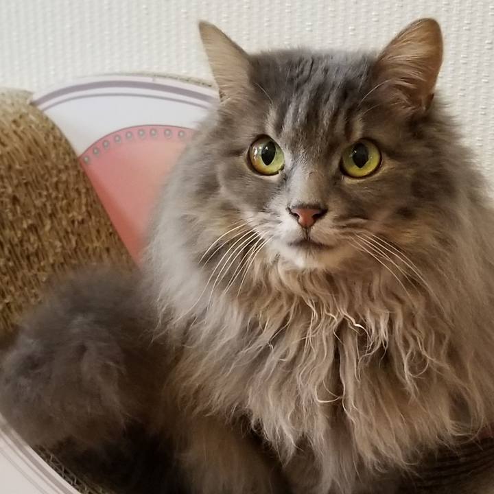 Ecd7af2f 3eea 4b69 8640 c2efd4050ff2 1587502507635