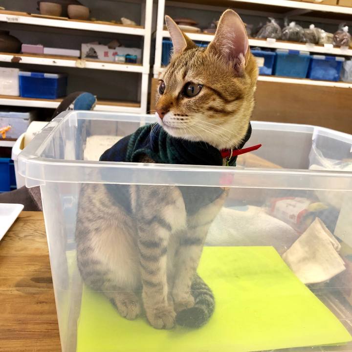 Ecd7d9f5 f04f 448d af33 8cb23f74cd92 1582444292408