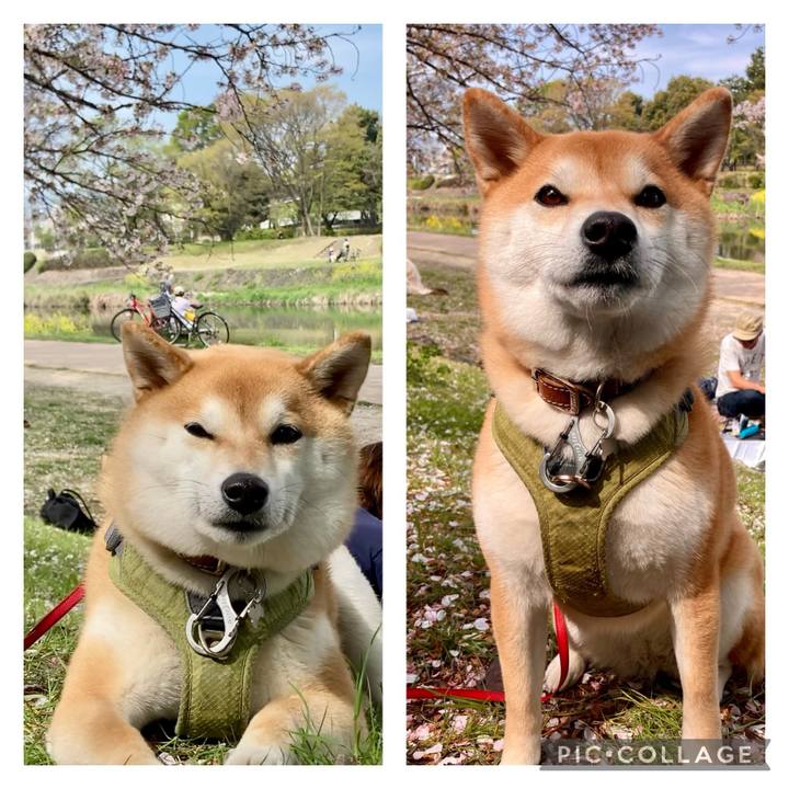 Ecd8106d 8ebb 4863 b667 e239b15d92a2 1713080730459