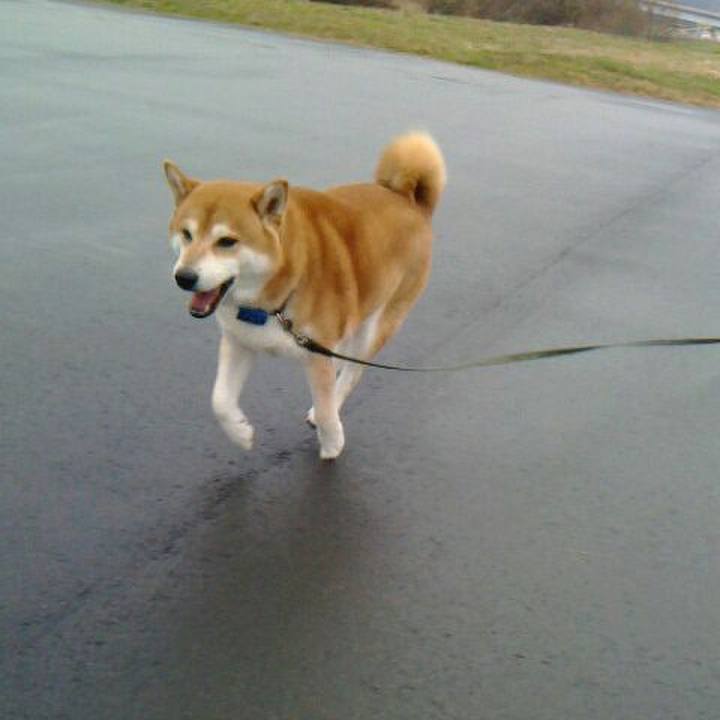 Ecd84a73 9bd4 43af b228 be0fdd1a5f16 1577354062962