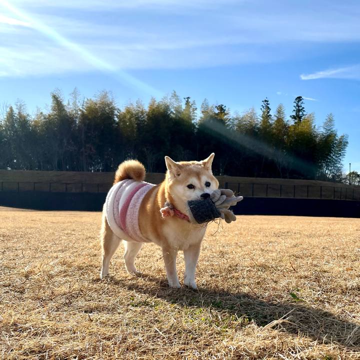 Ecd88ba5 9f7b 4a1f bb52 73fc1029f30d 1735642708666