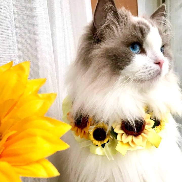 Ecd89956 2587 4adf 8929 ed80ea66cbfb 1627292587101