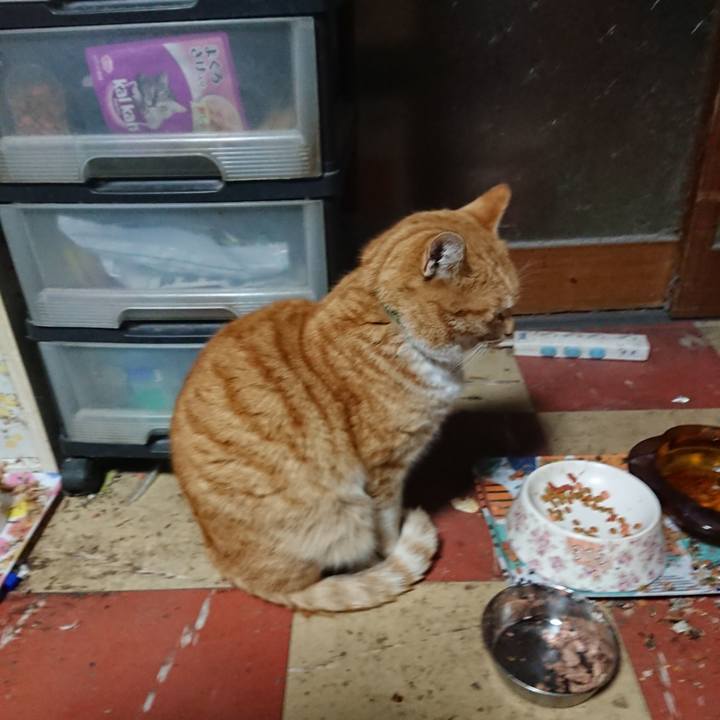 Ecd8cb92 5d90 4218 9b49 d2c93483792b 1581710172339